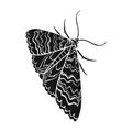 Moth, night butterfly. Insect pest moth single icon in black style vector symbol stock isometric illustration web.