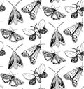 Moth seamless pattern. Hand drawn illustration of flying insects. Black and white sketches.