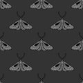 Moth vector pattern, mystical background