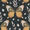 Moth vector seamless pattern. Royalty Free Stock Photo