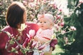 Mother and baby with blooming pink magnolia flower Royalty Free Stock Photo