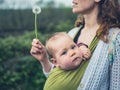 Mother with baby blowing dandelion Royalty Free Stock Photo