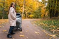 Mother with baby carriage walks in the autumn park and looks back at the camera. Royalty Free Stock Photo