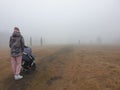 Mother with a baby carriage walks in a foggy park. Woman with a baby carriage. Walk in the autumn park. Take your baby for a walk Royalty Free Stock Photo