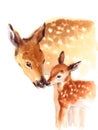 Mother and Baby Deer Watercolor Love Family Hand Painted Mother`s Day Summer Illustration isolated on white background