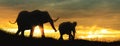 Mother and Baby Elephant African Sunset Silhouette Royalty Free Stock Photo