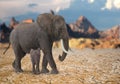 Mother and Baby elephant with mountains Royalty Free Stock Photo