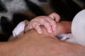 Mother and baby hands. Small baby hand is holding a mother hand while feeding it with a bottle. Royalty Free Stock Photo