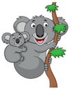 Mother and baby koala cartoon Royalty Free Stock Photo