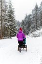 Mother with baby stroller enjoying motherhood in winter forest Royalty Free Stock Photo