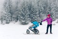 Mother with baby stroller enjoying motherhood in winter forest Royalty Free Stock Photo