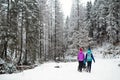 Mother with baby stroller enjoying motherhood in winter forest Royalty Free Stock Photo