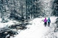 Mother with baby stroller enjoying motherhood in winter forest Royalty Free Stock Photo