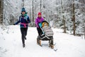 Mother with baby stroller enjoying winter in forest, family time Royalty Free Stock Photo