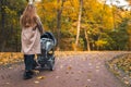 Mother with baby stroller walks in the autumn park, back view. Royalty Free Stock Photo