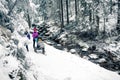 Mother with baby stroller in winter forest, tow women family time Royalty Free Stock Photo