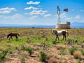 Mother and Baby Wild Horses, Utah Royalty Free Stock Photo