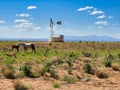 Mother and Baby Wild Horses, Utah Royalty Free Stock Photo