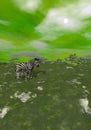 Mother and baby zebras in grassland - 3D render