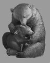 Mother bear hugs the bear cub. Realistic monochrome hand drawing.