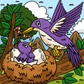 Mother Bird and Fledgling Colored Cartoon