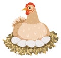 Mother bird hatching eggs in nest. Chicken cartoon icon Royalty Free Stock Photo