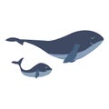 Mother blue whale with child. Hand drawn vector