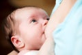 Mother breast feeding newborn baby Royalty Free Stock Photo