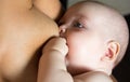 Mother is breastfeeding. Baby suckles Royalty Free Stock Photo