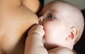 Mother is breastfeeding. Baby suckles