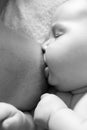 Mother is breastfeeding. Baby suckles Royalty Free Stock Photo