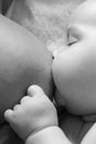 Mother is breastfeeding. Baby suckles Royalty Free Stock Photo