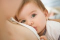 Mother is breastfeeding her baby at home. Mother breastfeeding baby in her arms at home Royalty Free Stock Photo