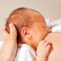 Mother breastfeeding newborn