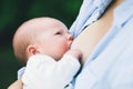 Mother breastfeeding newborn baby child on nature Royalty Free Stock Photo