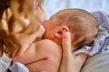 A mother is breastfeeding a newborn baby in a maternity hospital. A newly born child in the clinic in the arms of a mother who Royalty Free Stock Photo