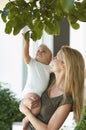Mother Carrying Child Under Tree Royalty Free Stock Photo