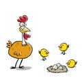 Mother chicken guarding her baby chicks and eggs Royalty Free Stock Photo