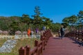 Mother and child on wooden bridge Royalty Free Stock Photo