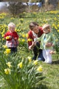 Mother And Children In Daffodil Field Royalty Free Stock Photo