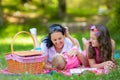 Mother with children enjoying at the picnic Royalty Free Stock Photo