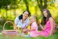 Mother with children enjoying at the picnic Royalty Free Stock Photo