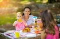Mother with children enjoying on picnic Royalty Free Stock Photo
