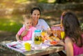 Mother with children enjoying on picnic Royalty Free Stock Photo