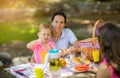 Mother with children enjoying on picnic Royalty Free Stock Photo