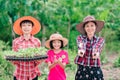 Mother and children family holding seeding plants to planting tree on blurred green nature background Royalty Free Stock Photo