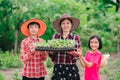 Mother and children family holding seeding plants to planting tree on blurred green nature background Royalty Free Stock Photo