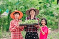 Mother and children family holding seeding plants to planting tree on blurred green nature background Royalty Free Stock Photo