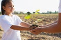 mother and children helping planting young tree Royalty Free Stock Photo