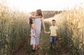 Mother with children with her son and daughter walking through a field of wheat Royalty Free Stock Photo